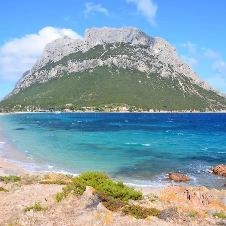Dp - Sardinia