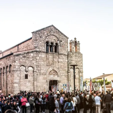 Dp - Sardinia